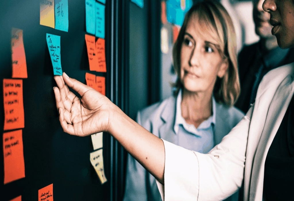 Business Plan Sector