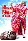 Big Momma's House 2