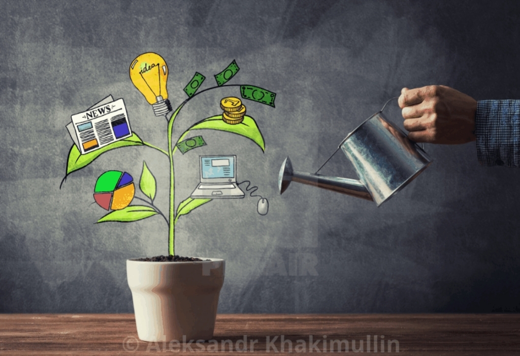 Business Innovation Investment